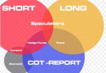 Cosa è il CoT Report? COT Report