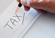 Lavoro e Partita Iva Forfettaria: Guida alle Novità 2024 tasse trading