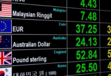 Dollaro Canadese – Focus Come Funziona il Forex Market?