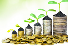 Certificati con Esenzione Fiscale investire in borsa