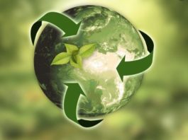 Economia ed Investimenti ESG investimenti ESG