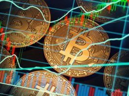 Criptovalute investire