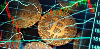 Criptovalute investire