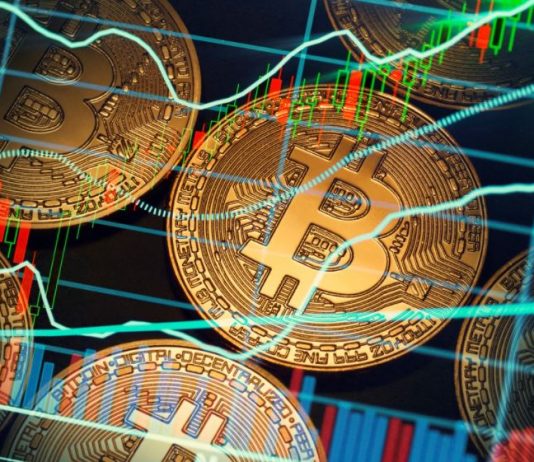 Bitcoin e Criptovalute Criptovalute investire