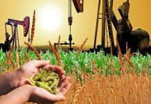 La Borsa Merci Borsa Merci