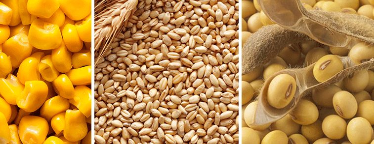 Materie Prime agricole - Borsa Merci