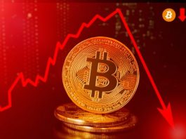 Crolla il prezzo del Bitcoin Bitcoin