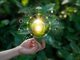 Investire sul settore dell’energia rinnovabile investire settore energia rinnovabile