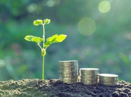 Come Investire sul Green Tech investire green tech