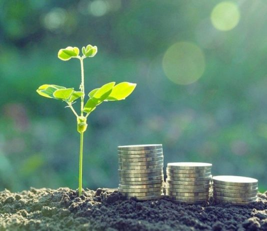 Come Investire sul Green Tech investire green tech
