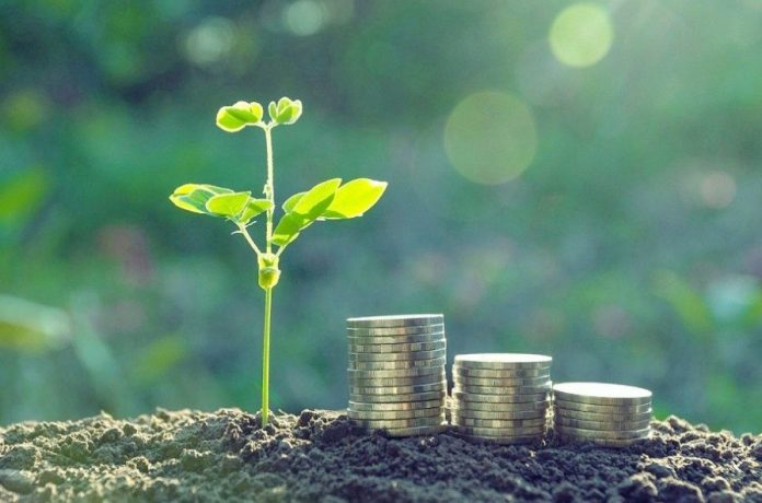 image-1-2 investire green tech