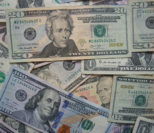 Previsioni per il Dollaro nel 2024 euro dollaro