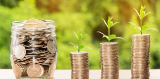 certificati con cedole fisse