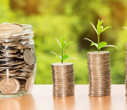 Certificati con Cedole Fisse (sotto la pari) certificati con cedole fisse