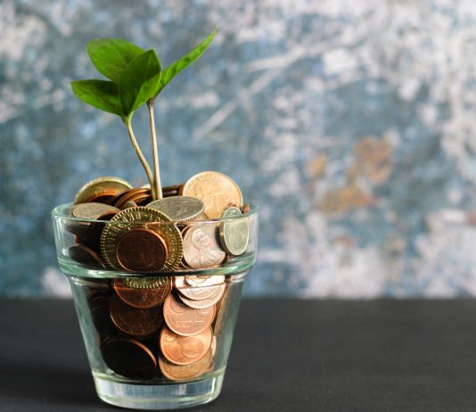Certificati con Barriera capitale 30% e cedole mensili cedole