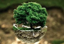 Cosa è il COP27? Sostenibilità ed investimenti ESG