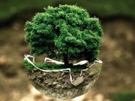 Sostenibilità ed investimenti ESG