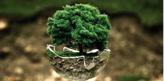 Sostenibilità ed investimenti ESG