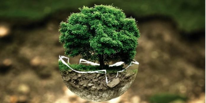 Sostenibilità ed investimenti ESG