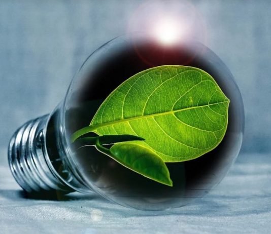 Un Certificato sul Settore dell’Energia transizione energetica ESG