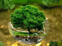 Certificates “Act ESG” di Vontobel certificates ESG