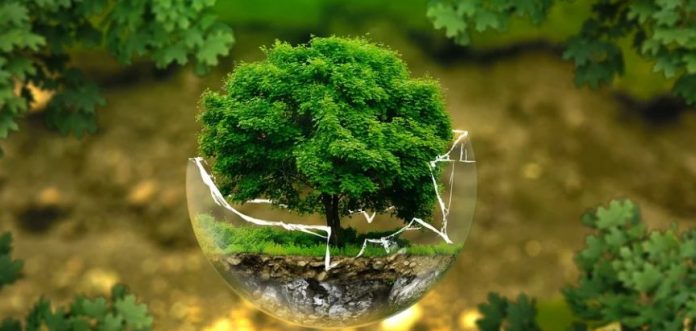 image-6-1 certificates ESG