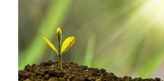 investire sui megatrend