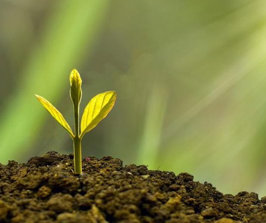 investire sui megatrend