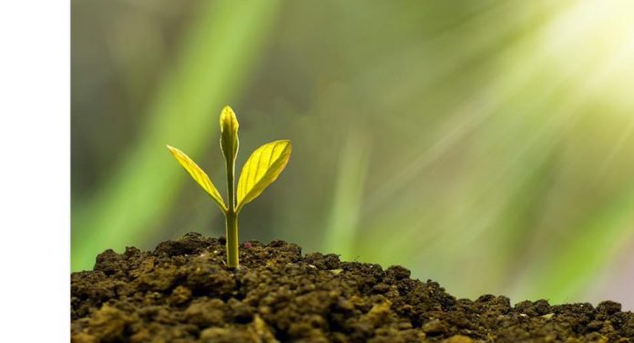 investire sui megatrend investire sui megatrend