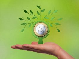 certificati di investimento