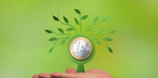 certificati di investimento