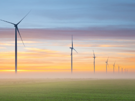 Transizione Energetica transizione energetica