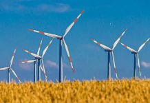 Certificates per investire sulle energie rinnovabili Prezzo gas, petrolio, energie rinnovabili