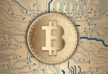 Aumentano le tasse sui bitcoin: cosa fare? bitcoin