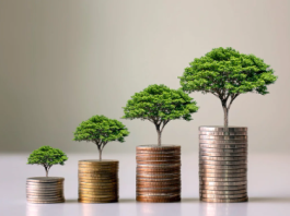 Focus – Obbligazioni ESG Obbligazioni ESG