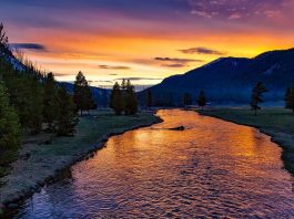 Investire sulla Biodiversità Investire ambiente ESG acqua