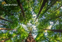 Leonteq – Cedola Mensile ed Airbag su Indici Leonteq - Fondo Forestale