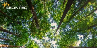 Leonteq - Fondo Forestale