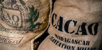 investire sul cacao