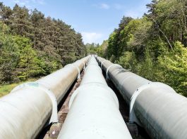 snam analisi fondamentale