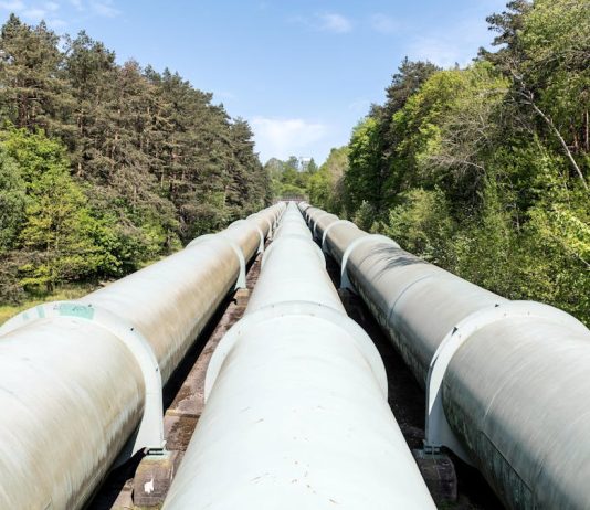 snam analisi fondamentale